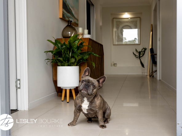 26 Newry Street Mountain Creek QLD -Lesley Bourke Real Estate